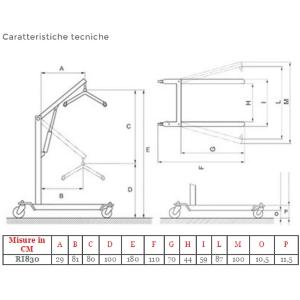 NOLEGGIO - VERTICALIZZATORE ELETTRICO (Portata max 180 kg) PER METTERE IN PIEDI E SPOSTARE I PAZIENTI - ATTUATORE LINAK - STRUTTURA IN ACCIAIO VERNICIATO - RUOTE PIROETTANTI (2 con freno) - BASE REGOLABILE IN LARGHEZZA -  STOP DI EMERGENZA