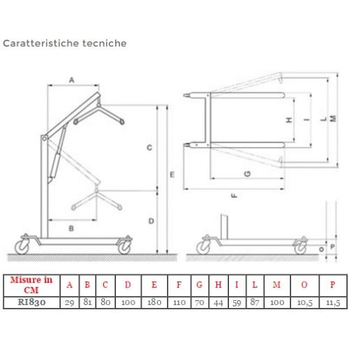 NOLEGGIO - VERTICALIZZATORE ELETTRICO (Portata max 180 kg) PER METTERE IN PIEDI E SPOSTARE I PAZIENTI - ATTUATORE LINAK - STRUTTURA IN ACCIAIO VERNICIATO - RUOTE PIROETTANTI (2 con freno) - BASE REGOLABILE IN LARGHEZZA -  STOP DI EMERGENZA